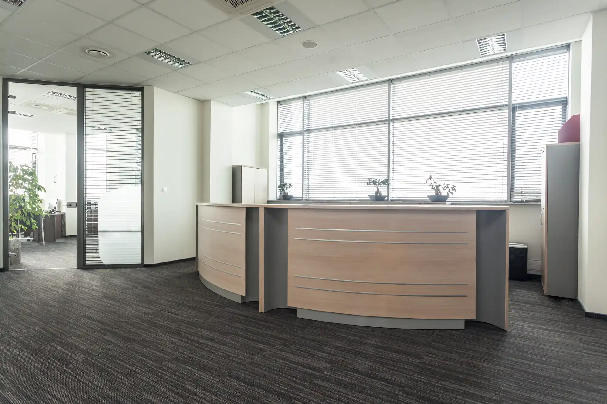 Top Rated Commercial Interior Painters